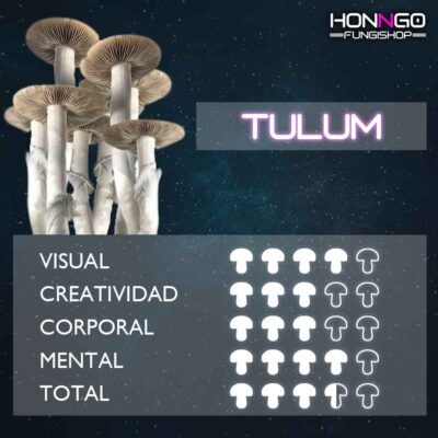 Tulum_honngo
