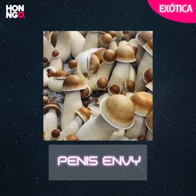 Exoticas-Penis-envy.